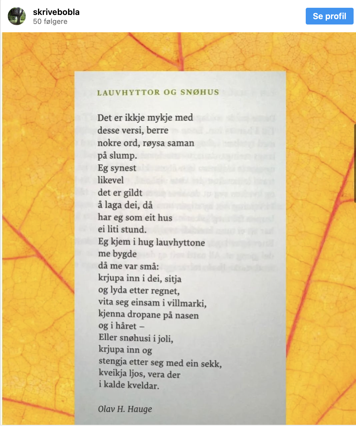 Skrivebobla på Insta